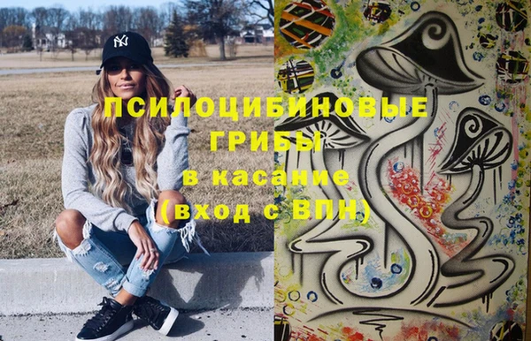 спайс Бородино