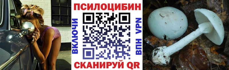 продажа наркотиков  Буйнакск  omg как зайти  Галлюциногенные грибы GOLDEN TEACHER 