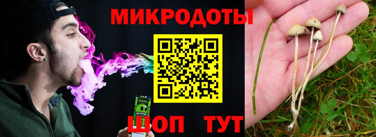 Галлюциногенные грибы Cubensis  Псилоцибиновые грибы Magic Shrooms  Вход с VPN  Буйнакск 